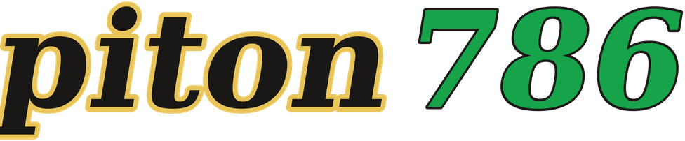 piton786 logo